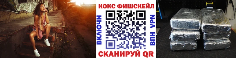 Кокаин Fish Scale  блэк спрут tor  Димитровград  где найти наркотики 