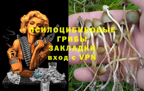 ALPHA PVP Магас