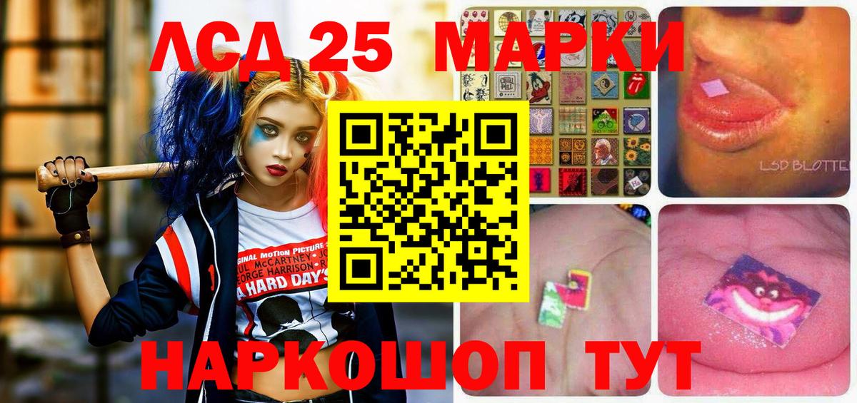 A PVP Димитровград