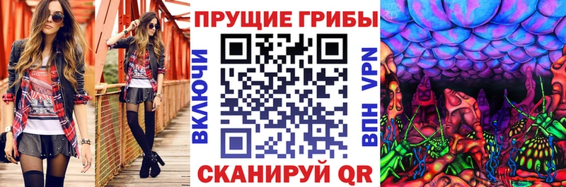 Псилоцибиновые грибы GOLDEN TEACHER  Димитровград 