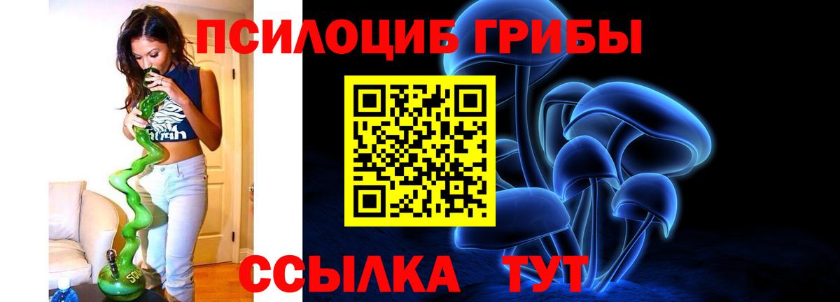 купить закладку  Вход с VPN  Димитровград  Псилоцибиновые грибы Magic Shrooms 