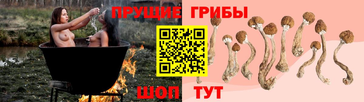 Псилоцибиновые грибы мухоморы Димитровград